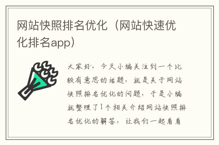 网站快照排名优化（网站快速优化排名app）