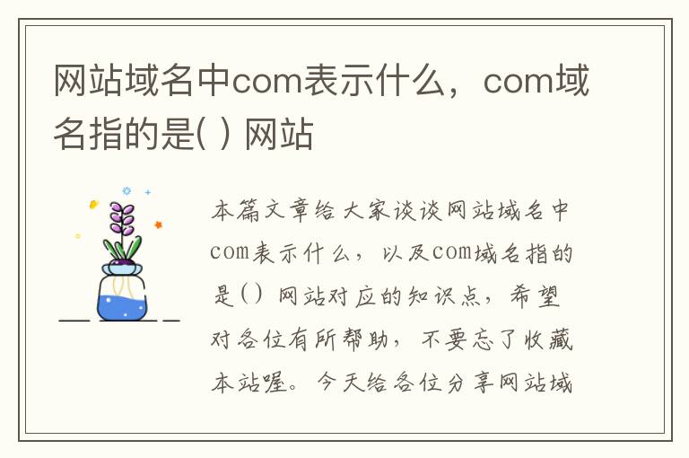 网站域名中com表示什么，com域名指的是( ) 网站