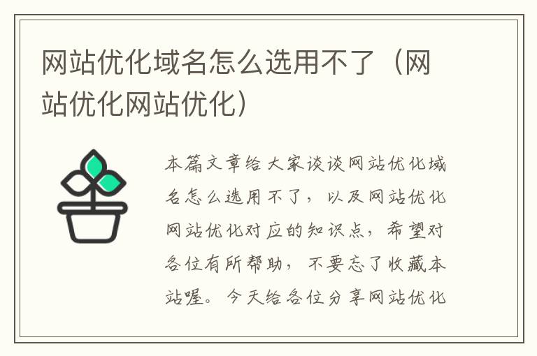 网站优化域名怎么选用不了（网站优化网站优化）