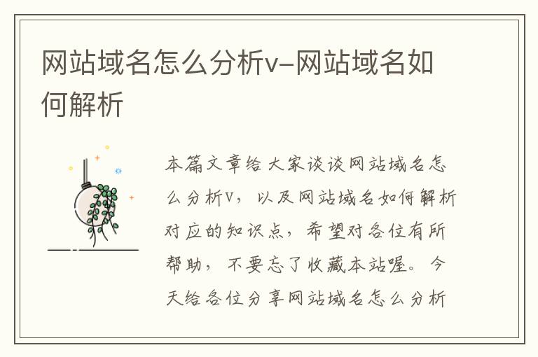 网站域名怎么分析v-网站域名如何解析