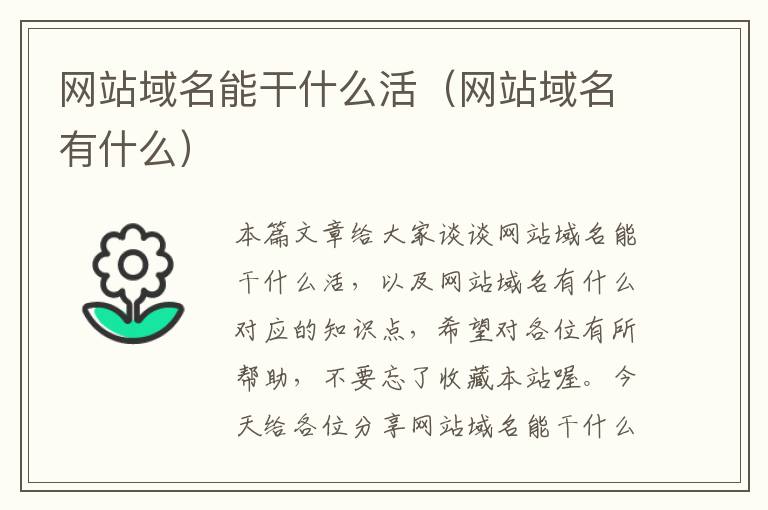 网站域名能干什么活（网站域名有什么）