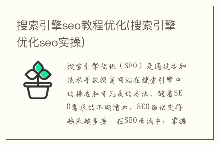 搜索引擎seo教程优化(搜索引擎优化seo实操)