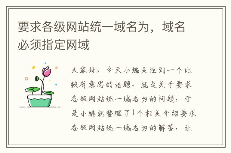 要求各级网站统一域名为，域名必须指定网域