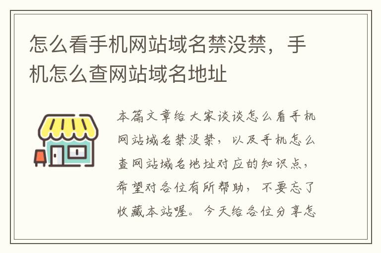 怎么看手机网站域名禁没禁，手机怎么查网站域名地址