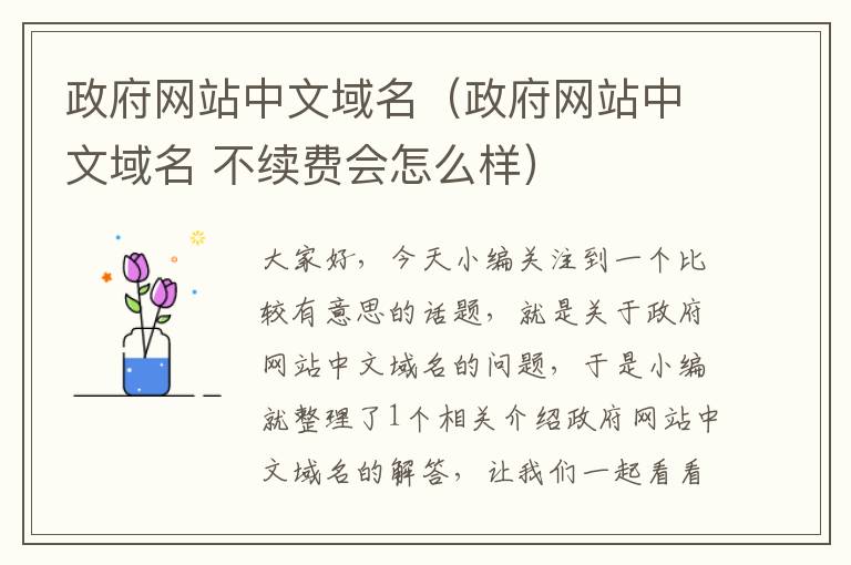 政府网站中文域名（政府网站中文域名 不续费会怎么样）