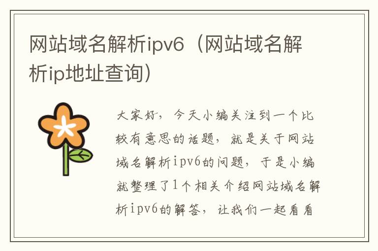 网站域名解析ipv6（网站域名解析ip地址查询）