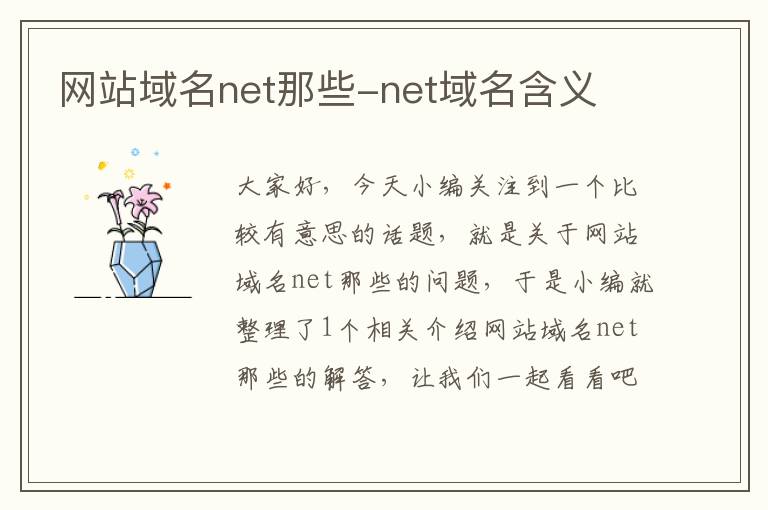 网站域名net那些-net域名含义