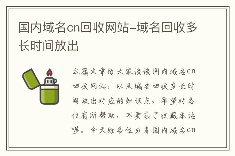 国内域名cn回收网站-域名回收多长时间放出