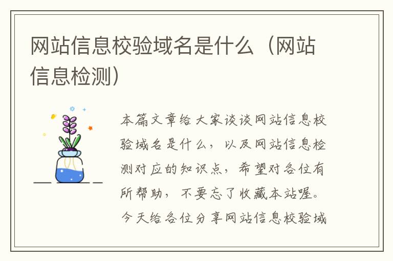 网站信息校验域名是什么（网站信息检测）