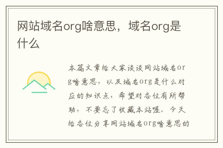 网站域名org啥意思，域名org是什么