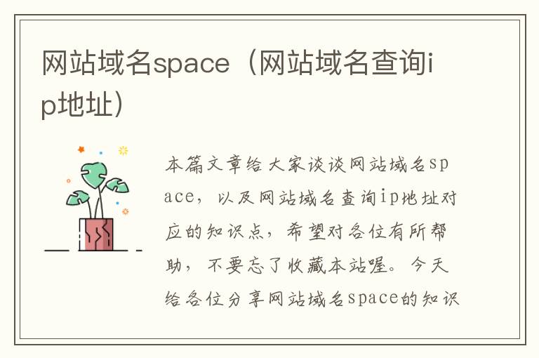 网站域名space（网站域名查询ip地址）