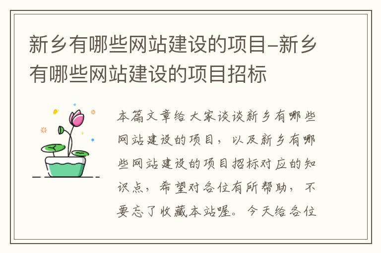 新乡有哪些网站建设的项目-新乡有哪些网站建设的项目招标