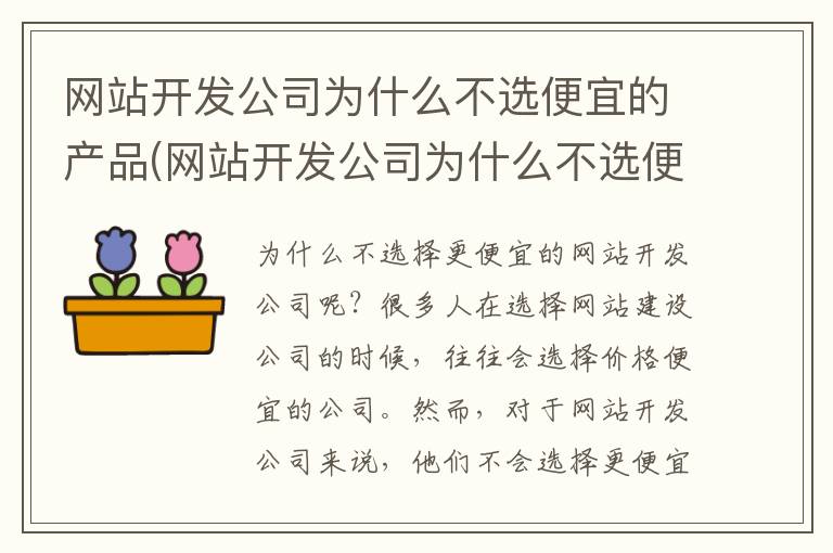 网站开发公司为什么不选便宜的产品(网站开发公司为什么不选便宜的呢)