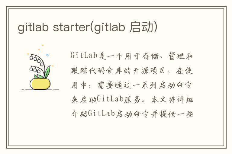 gitlab starter(gitlab 启动)