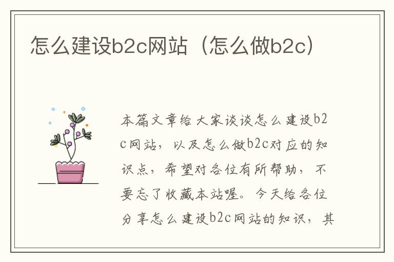 怎么建设b2c网站（怎么做b2c）