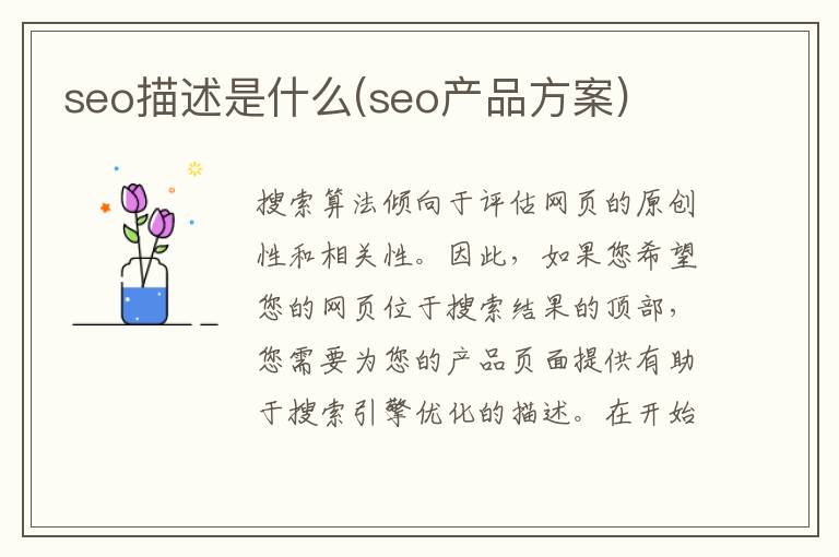 seo描述是什么(seo产品方案)